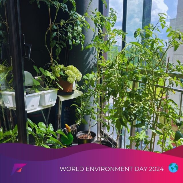 🌍🌿 Happy World Environment Day 2024! 🌿🌍

At Fortis Media we're passionate about protecting our planet and making sustainable choices every day. Here’s how we’re making a difference: 

♻️ Recycling plastic, paper, and food leftovers at work and home. 

🌱 Growing our own herbs and plants in small balcony gardens. 

🚰 Ditching plastic bottles and using reusable ones. 

👗 Recycling clothes and buying only what we truly need. 

🎁 Exchanging kids' toys with other moms to reduce plastic waste. 

🤝 Proud to support our employees volunteering with Darom Charity.

Remember, every small action counts. It's our collective effort that can truly make a big difference. Let's continue to inspire each other and work together to create a greener future for all. 💚 

#WorldEnvironmentDay #Recycle #GoGreen #SustainableLiving #EcoFriendly #TogetherWeCan #DaromCharity #GreenWorkplace